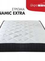 DYNAMIC EXTRA DYNAMIC EXTRA
