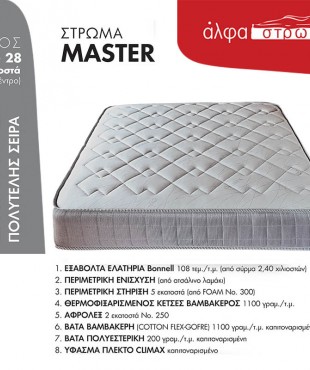 MASTER