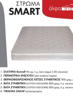 SMART SMART
