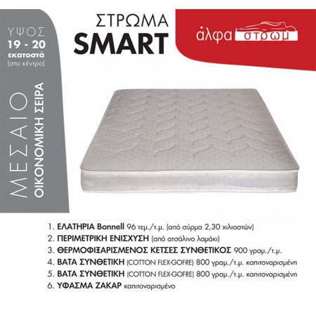 SMART SMART